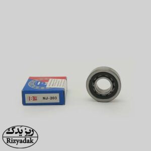 بلبرینگ گیربکس آردی NJ203 IBC (ایرانیان) - Image 1