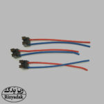 سوکت چراغ 2 فیش پرشیایی (نویان پارت)
