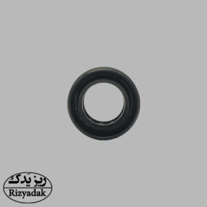 کاسه نمد پلوس کوچک راست 405 (لیام گستر) - Image 2
