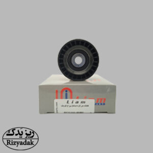 غلطک هرزگرد الترناتور 206 سوراخ کوچک گردید A (لیام گستر) - Image 1
