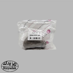 سردنده سمند بژ (نویان پارت) - Image 2