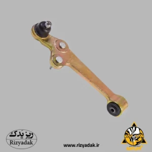 طبق راست تیبا (KAPLAN) - Image 1